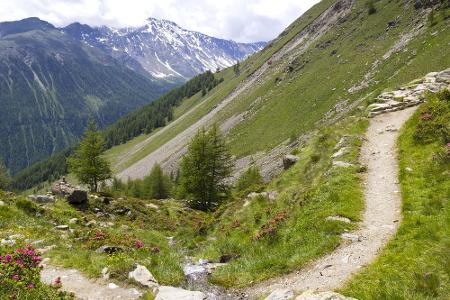 Ebenfalls in den Vinschgau mündet das Schnalstal. Am Tisenjoch über dem Schnalstal wurde die inzwischen weltbekannte Gletsch...