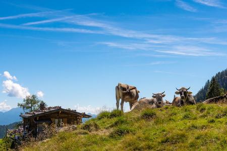 Parallel zum unteren Vinschgau verläuft das Ultental, am Ende des Tales wartet wieder das Ortlergebiet.