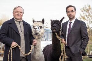 Das ist der spannende "Tatort"-Fahrplan bis zur Fußball-EM