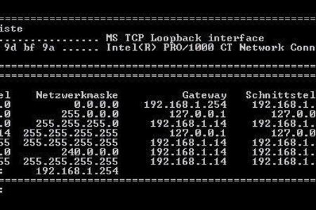 Mit dem Befehl route print lässt sich der Weg, den Datenpakete im Netzwerk nehmen ausdrucken.