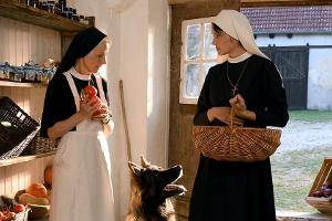 TV-Tipps am Dienstag