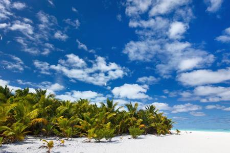 Die Pazifik-Insel Tuvalu, zwischen Hawaii und Australien, ist bereits heute massiv gefährdet. Das größte der neun Korallenat...