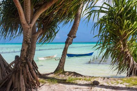 Einen Schritt weiter ist man da schon auf Kiribati: Präsident Tong führt mit den Fidschi-Inseln Gespräche, um eine Umsiedlun...