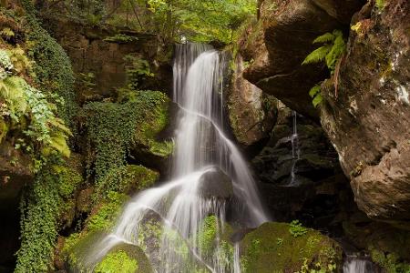 Ursprünglich war der Lichtenhainer Wasserfall ein Rinnsal. 1830 wurde er umgestaltet, um die touristische Attraktivität zu e...