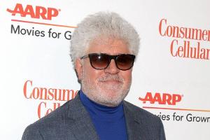 Zensiertes Nippel-Plakat: Facebook entschuldigt sich bei Almodóvar