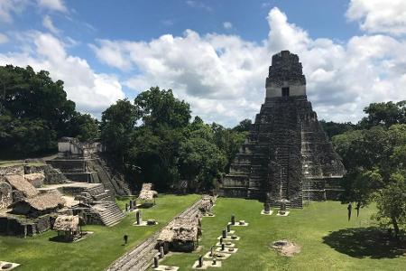 Im Urwald von Guatemala liegt die Stadt Tikal der Mayas versteckt, die für 