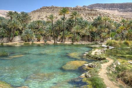 Die Wadi-Bani-Khalid-Oase zählt zu den bekanntesten im Oman. Rund 50 Kilometer von der Landeshauptstadt Maskat entfernt, gib...