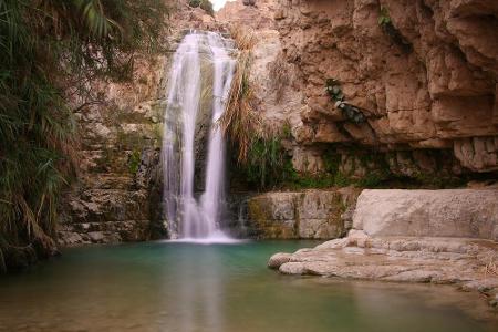 Am Westufer des Toten Meers taucht, in der Wüste Negev, die Oase En Gedi auf. Seit der Steinzeit ist die grüne Insel bewohnt...