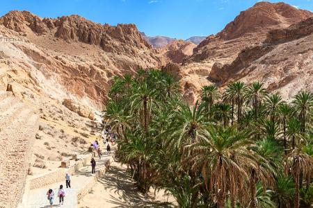 Nur wenige Kilometer von der Grenze zu Algerien entfernt, liegt die Bergoase Chebika. Sprudelnde Quellen versorgen die Pflan...