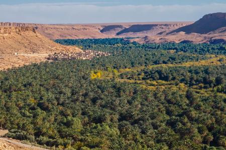 In der marokkanischen Sahara gibt es gleich eine ganze Gruppe an Oasen zu entdecken. In Tafilalet stehen 300 Dörfer, in dene...