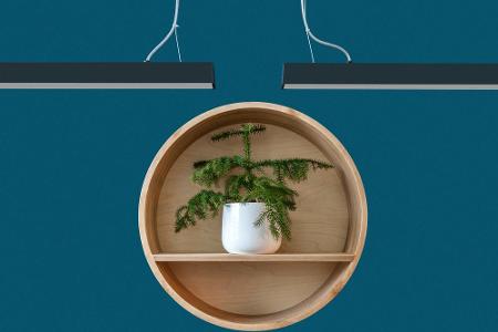 Egal, ob hängend oder stehend: Runde Regale sind einer der stylischsten Interieur-Trends des Jahres und werten jeden Raum auf.