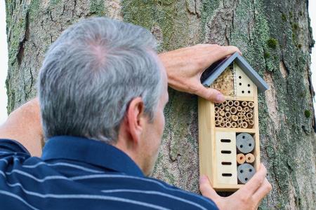 Beim Bau eines Insektenhotels kommt es neben dem Material auch auf den richtigen Standort an... Beim Bau eines Insektenhotels kommt es neben dem Material auch auf den richtigen Standort an...