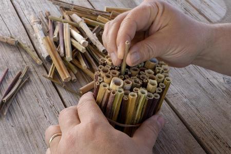 Hohle Stängel sind für Bienen eine besonders beliebte Behausung. Einfach sammeln, trocknen lassen und in eine Blechdose stec...