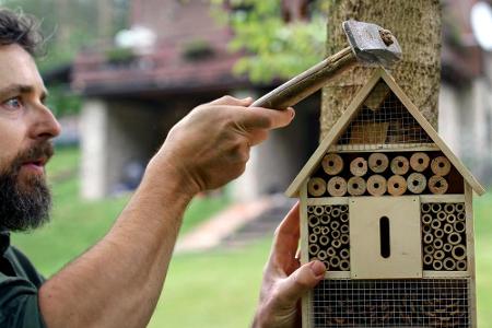 Der Standort des Insektenhotels ist von enormer Wichtigkeit, denn er entscheidet darüber, ob die Bienen ihre neue Behausung ...