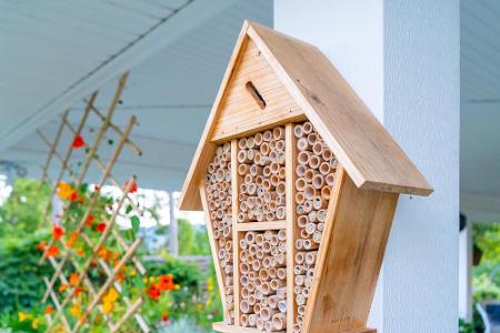 Ungeeignet sind freistehende Plätze im Garten. So finden die Insekten nur wenig Nahrung und haben keinen Schutz vor Wind und...