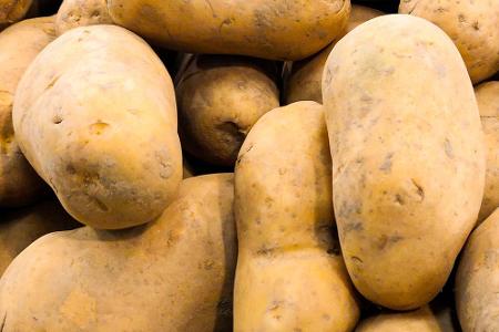 Wie Auberginen sind Kartoffeln Nachtschattengewächse, die Solanin bilden. Außerdem beinhalten die Knollen im Rohzustand viel...