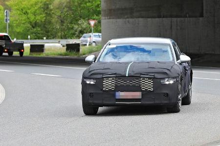Erlkönig Genesis G90