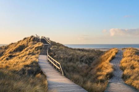 Wer sich reif für die Insel fühlt, versucht sein Urlaubsglück am besten auf Amrum. Nach Sylt, Föhr und Pellworm ist sie das ...