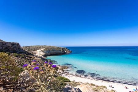 Auf der Insel Lampedusa ist einer der schönsten Strände Europas zu finden. Der Spiaggia dei Conigli ist von Felsen und türki...