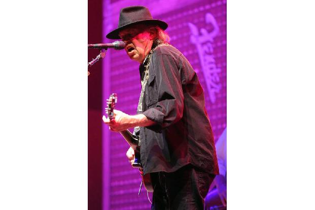 ... Neil Young benannt wurde. Er verlangte von einem Forscher, dass Stephen auch gewürdigt werde. Er hatte Erfolg: Ein Arach...