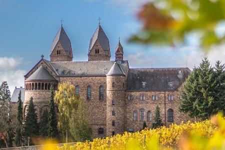 Mitten in Weinbergen gelegen, bietet die Abtei St. Hildegard in Hessen einen tollen Anblick.