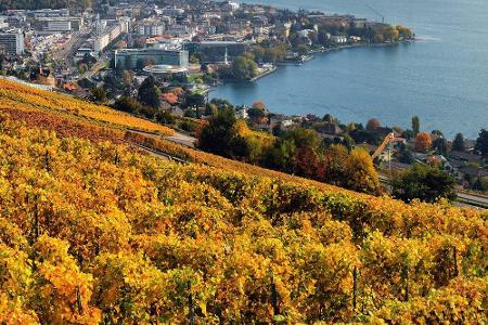 Für Weinliebhaber ist das mehr als 800 Hektar große Weinanbaugebiet Lavaux in der Schweiz zu empfehlen. Die in den Hang geba...