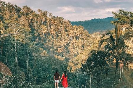 Einmal auf Tarzans Spuren? Diese Länder bieten Lodges und Camps mitten im Regenwald, und geführte oder individuelle Touren an. Einmal auf Tarzans Spuren? Diese Länder bieten Lodges und Camps mitten im Regenwald, und geführte oder individuelle Touren an.