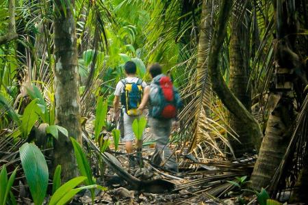 Meerumschlungen zwischen Karibik und Pazifik liegt Costa Rica. Das mittelamerikanische Land ist von Regenwäldern durchdrunge...