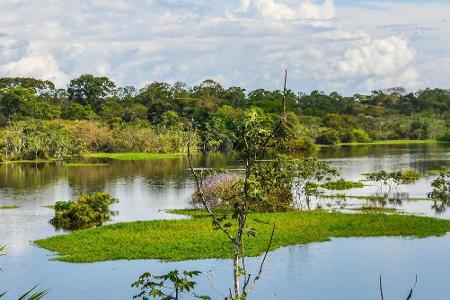 Im Herzen des Amazonas-Regenwaldes in Brasilien liegt die Stadt Manaos, sie ist ein beliebter Ausgangspunkt für Touren in de...