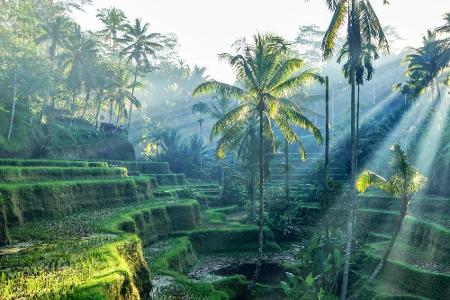 Während der Süden von Bali ein touristischer Hotspot ist, gibt es im Norden der indonesischen Insel ruhigere Buchten zu entd...