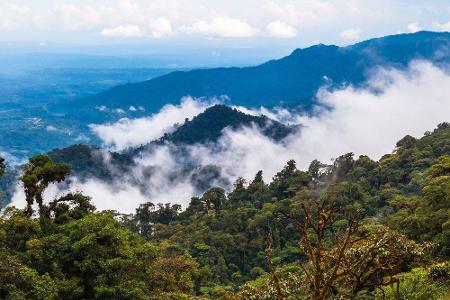 Wie der Name schon sagt liegt Ecuador am Äquator, diese Lage garantiert üppige Regenwälder. Tagesausflüge zu den Galapagos-I...
