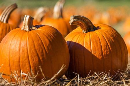 Kürbisse passen perfekt in die herbstliche Jahreszeit, wenn die Sommerbräune langsam schwindet. Umso besser, dass auch diese...