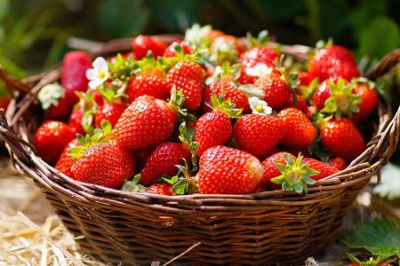 Perfekt für den Sommer bieten sich auch Erdbeeren im Smoothie oder als Snack für zwischendurch an. Die roten süßen Früchte e...