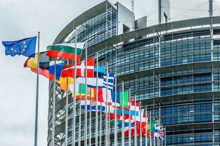 Außerdem sind in Straßburg mehrere Organe der Europäischen Union beheimatet: Sowohl der Europarat, das Europaparlament als a...