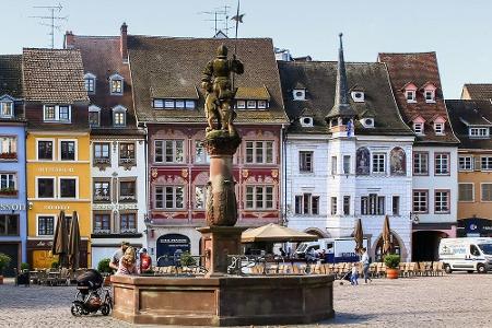 Wunderschön ist auch die Stadt Mulhouse (zu Deutsch: Mühlhausen). Im Botanischen Garten, der seit 1868 besteht, lässt es sic...