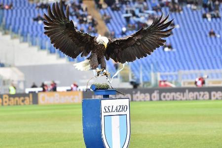 Lazio Rom träumt angeblich von einer Verpflichtung des Ex-Münchners. Das Portal 'lalaziosiamonoi' berichtet allerdings, dass...