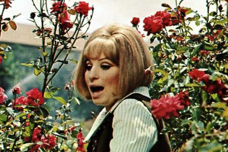 Nach Multitalent Barbra Streisand wurde eine Rose der Sorte Teehybride benannt: Die 