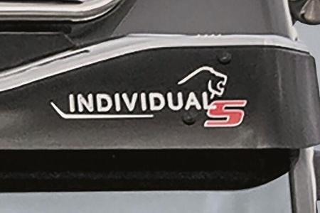 MAN TGX Individual Lion S