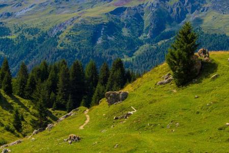 Wer in die einzigartige Natur der Schweiz eintauchen möchte, sollte einen der vielen Parks besuchen. Unter anderem der Parc ...