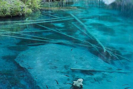 Der Blausee gehört zu den bekanntesten Seen der Schweiz - trotz seiner geringen Größe. Schuld daran ist die besondere Färbun...