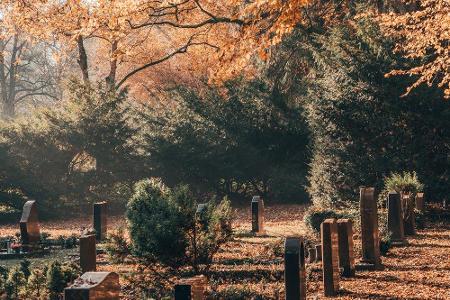 Der größte Parkfriedhof der Welt, der Friedhof Ohlsdorf, ist zugleich die größte Grünfläche in Hamburg. Auf dem Areal vertei...