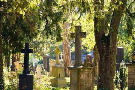 1715 entstanden die ersten Gräber auf dem Alten Friedhof Bonn. Der Grund: Der überbelegte Kirchhof neben St. Remigius sollte...