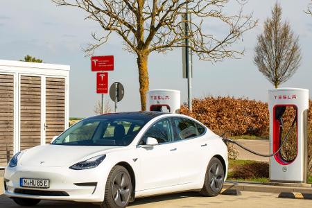 Einen eindeutigen Gewinner hat der Kfz-Markt Anfang 2021 auch: Tesla. Die amerikanische Elektromarke setzte im Februar 180 P...