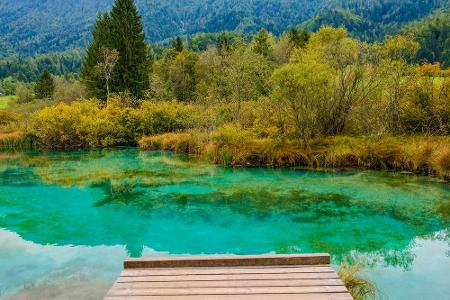 Die Natur in Slowenien hat einiges zu bieten: So kann man im Nationalpark Triglav neben Gämsen und Steinböcken auch auf eine...