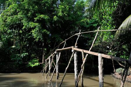 Im südlichen Teil von Vietnam, in Regionen des Mekong Deltas, sind sogenannte Monkey Bridges zu finden. Die 