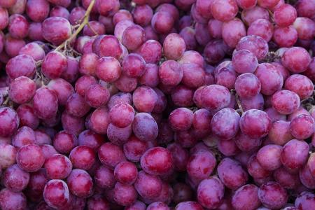 Die Bio-Variante bei Tafeltrauben ist ebenfalls deutlich weniger belastet als die herkömmlich angebaute Frucht.