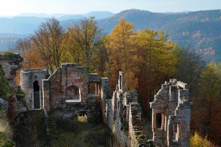 Das größte zusammenhängende Waldgebiet befindet sich im Bundesland Rheinland-Pfalz. Über 179.000 Hektar erstreckt sich der N...