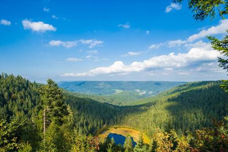 Im Südwesten Deutschlands liegt der Schwarzwald, der neben seinen malerischen Dörfern auch durch die unberührte Natur bestic...