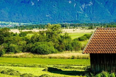 Südlich von Murnau ist das circa 4.200 Hektar große Murnauer Moos zu finden. Das größte Alpenrandmoor Mitteleuropas beherber...