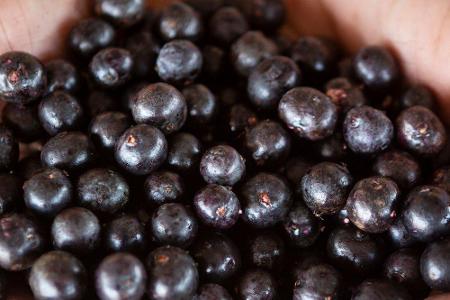 Die Açaí-Beere stammt aus dem südamerikanischen Amazonasgebiet und gehört seit einigen Jahren zum Kreis der Superfoods. Vor ...